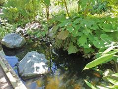 101PARC AUX OISEAUX DANS L AIN 2016 2_000044